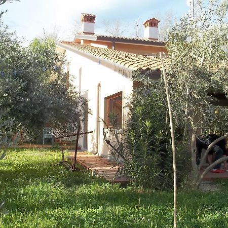 Villa Ambrosia Múggia Eksteriør billede