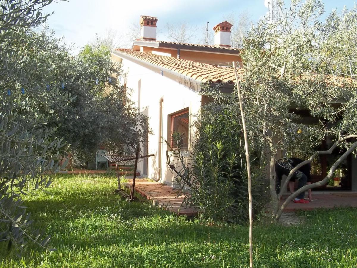 Villa Ambrosia Múggia Eksteriør billede