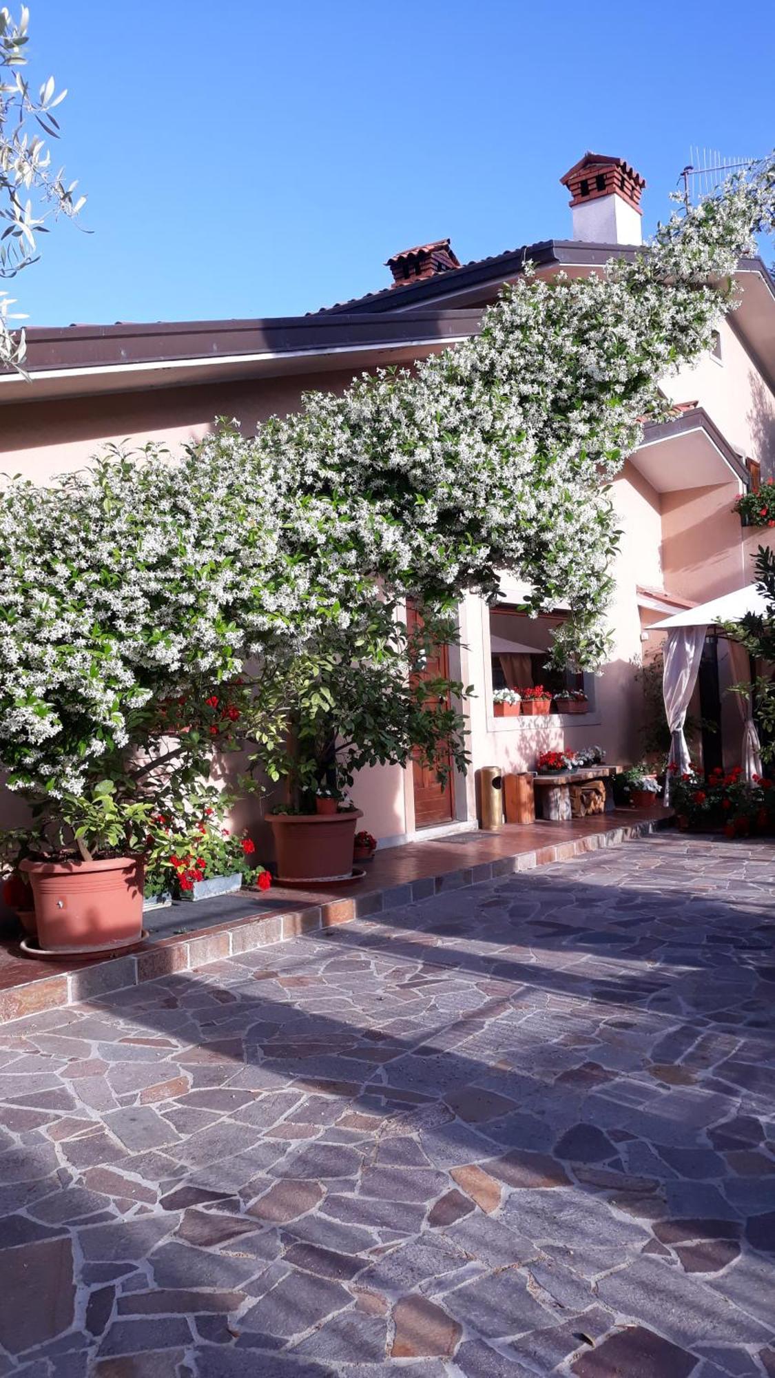 Villa Ambrosia Múggia Eksteriør billede